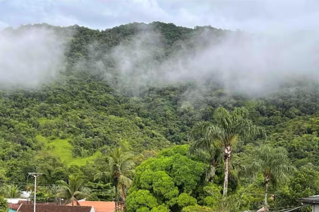 Silbrasil